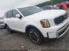 5XYP64GC3RG539577 2024 KIA TELLURIDE