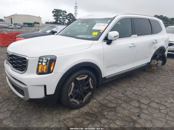 5XYP64GC3RG539577 2024 KIA TELLURIDE - Image 2