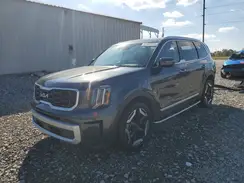 5XYP64GC3RG559537 2024 KIA TELLURIDE