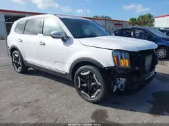 5XYP64GC3SG595198 2025 KIA TELLURIDE