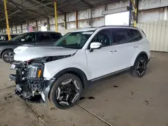 5XYP64GC4RG469409 2024 KIA TELLURIDE