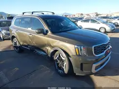 5XYP64GC4RG502067 2024 KIA TELLURIDE