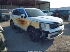 5XYP64GC4SG591791 2025 KIA TELLURIDE