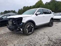 5XYP64GC4SG678249 2025 KIA TELLURIDE