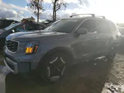 5XYP64GC5RG436726 2024 KIA TELLURIDE
