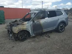 5XYP64GC5RG464381 2024 KIA TELLURIDE
