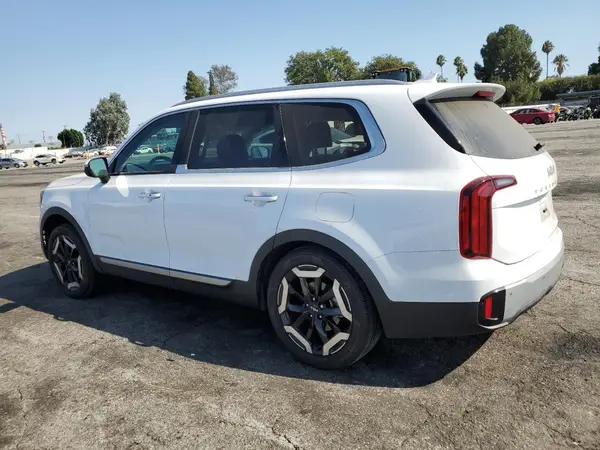 5XYP64GC5RG464526 2024 KIA TELLURIDE - Image 2