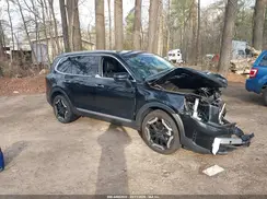 5XYP64GC5RG478510 2024 KIA TELLURIDE