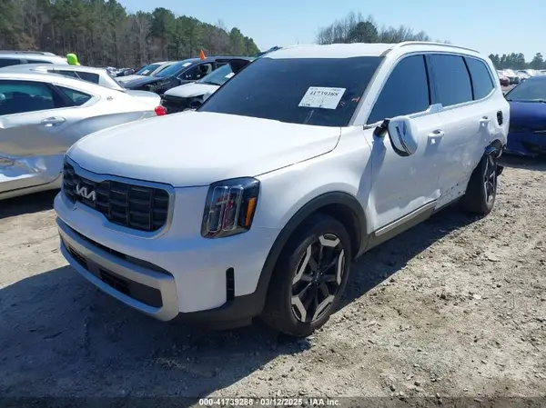 5XYP64GC5RG499213 2024 KIA TELLURIDE - Image 2