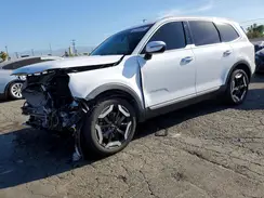 5XYP64GC5RG501879 2024 KIA TELLURIDE