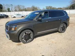 5XYP64GC5RG528080 2024 KIA TELLURIDE