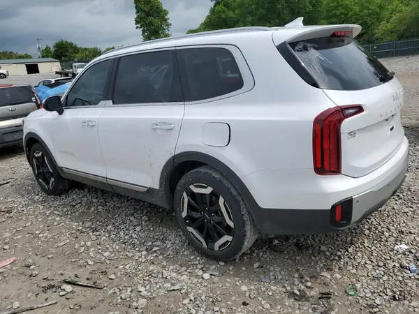 5XYP64GC5RG538334 2024 KIA TELLURIDE - Image 2