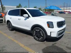 5XYP64GC5RG541699 2024 KIA TELLURIDE