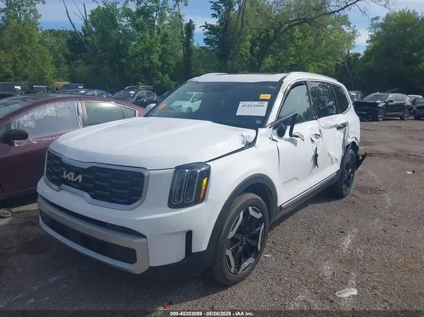 5XYP64GC5RG555621 2024 KIA TELLURIDE - Image 2