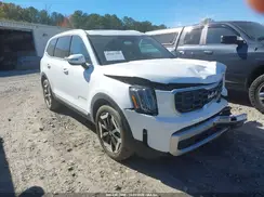 5XYP64GC5SG584848 2025 KIA TELLURIDE