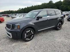 5XYP64GC5SG624202 2025 KIA TELLURIDE