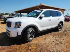 5XYP64GC5SG676171 2025 KIA TELLURIDE
