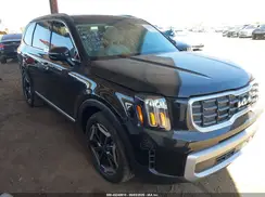 5XYP64GC5SG734943 2025 KIA TELLURIDE