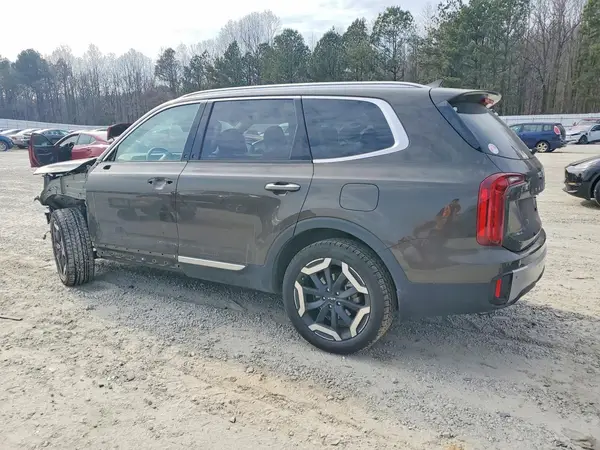 5XYP64GC6RG487832 2024 KIA TELLURIDE - Image 2