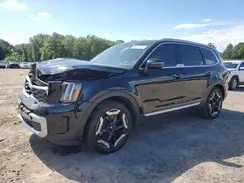 5XYP64GC6RG493596 2024 KIA TELLURIDE