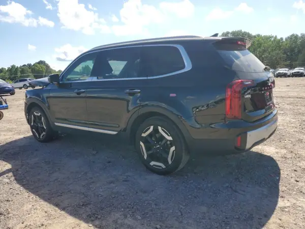 5XYP64GC6RG493596 2024 KIA TELLURIDE - Image 2