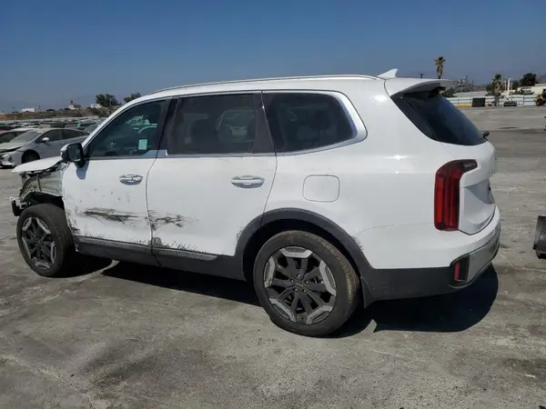 5XYP64GC6RG494537 2024 KIA TELLURIDE - Image 2