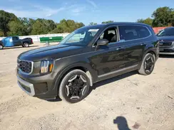 5XYP64GC6RG497955 2024 KIA TELLURIDE