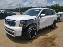 5XYP64GC6RG512499 2024 KIA TELLURIDE