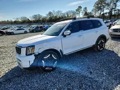 5XYP64GC6RG560097 2024 KIA TELLURIDE