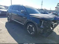 5XYP64GC6SG613287 2025 KIA TELLURIDE