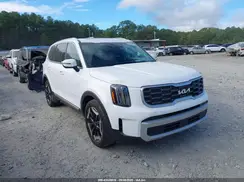 5XYP64GC6SG636858 2025 KIA TELLURIDE