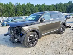 5XYP64GC6SG668905 2025 KIA TELLURIDE