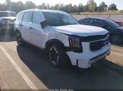 5XYP64GC6SG688880 2025 KIA TELLURIDE