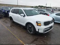 5XYP64GC6SG731839 2025 KIA TELLURIDE