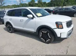 5XYP64GC7RG437344 2024 KIA TELLURIDE