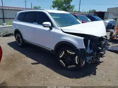 5XYP64GC7RG529747 2024 KIA TELLURIDE