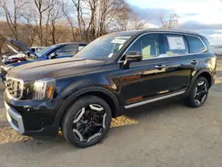 5XYP64GC7RG545348 2024 KIA TELLURIDE