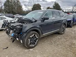 5XYP64GC7RG559248 2024 KIA TELLURIDE