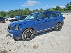 5XYP64GC7RG561503 2024 KIA TELLURIDE