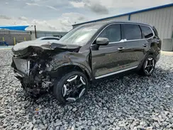 5XYP64GC7SG640644 2025 KIA TELLURIDE