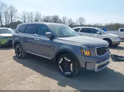 5XYP64GC7SG646153 2025 KIA TELLURIDE
