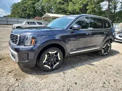 5XYP64GC7SG663390 2025 KIA TELLURIDE