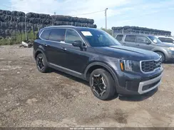 5XYP64GC7SG694462 2025 KIA TELLURIDE