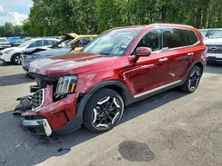 5XYP64GC8PG326296 2023 KIA TELLURIDE
