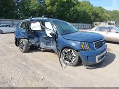 5XYP64GC8RG454556 2024 KIA TELLURIDE