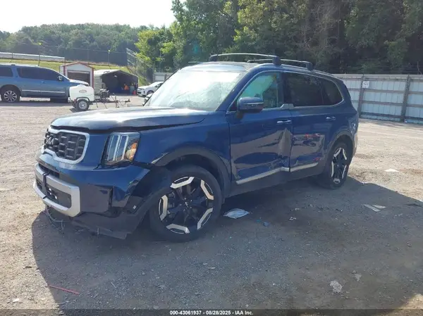 5XYP64GC8RG454556 2024 KIA TELLURIDE - Image 2