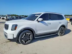 5XYP64GC8RG483071 2024 KIA TELLURIDE