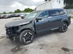5XYP64GC8RG501729 2024 KIA TELLURIDE