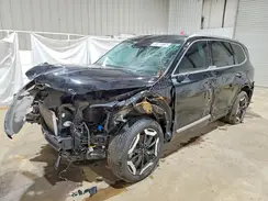 5XYP64GC8RG530728 2024 KIA TELLURIDE