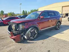 5XYP64GC8RG543592 2024 KIA TELLURIDE